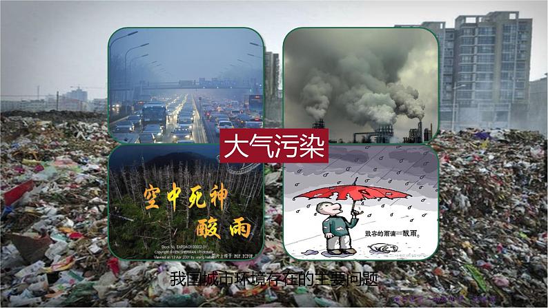 24.3 关注城市环境 课件 北师大版八年级下册生物第5页