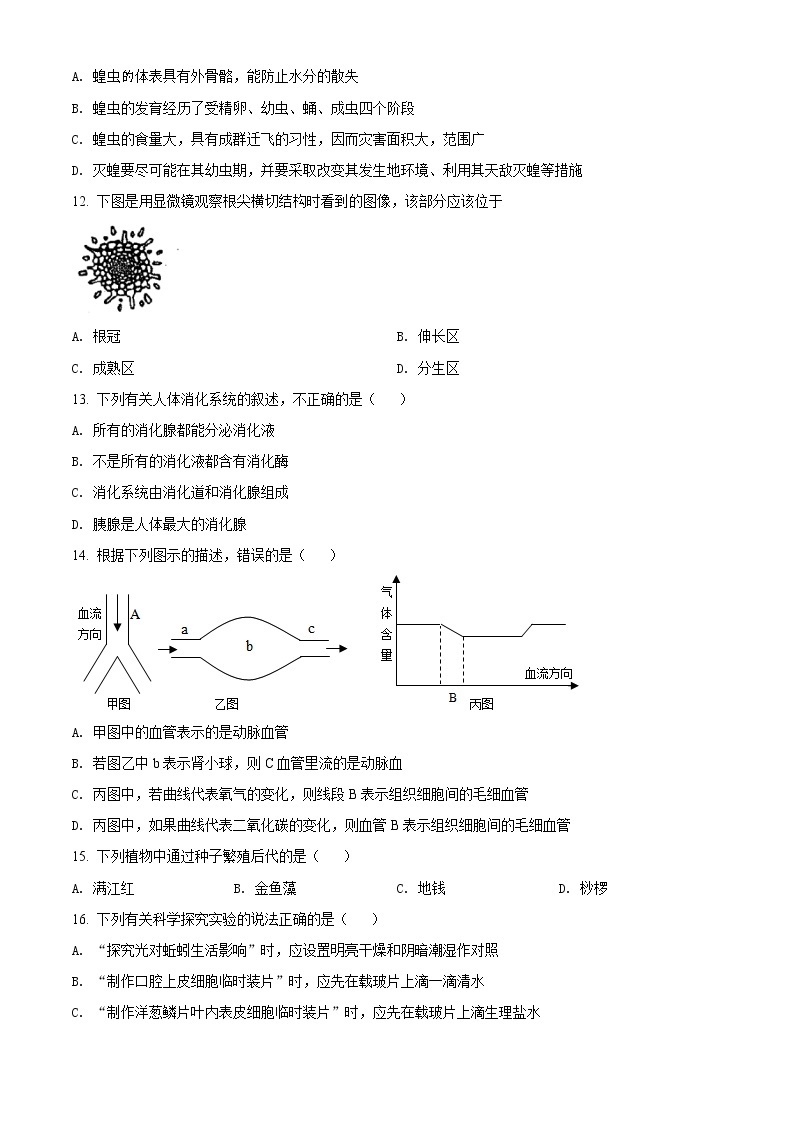 精品解析：江苏省扬州中学教育集团树人学校中考（一模）生物试题（解析版+原卷版）03