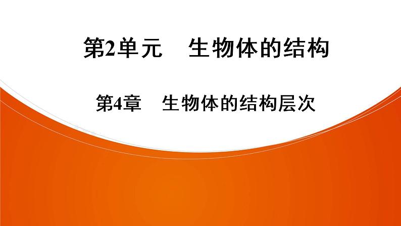 2021年中考广东专用生物知识点梳理复习第2单元 第4章 生物体的结构层次 课件第1页