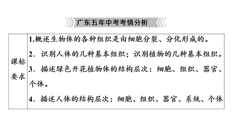2021年中考广东专用生物知识点梳理复习第2单元 第4章 生物体的结构层次 课件第3页