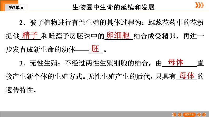 2021年中考广东专用生物一轮知识点复习第7单元 第22章 生物的生殖和发育 课件07