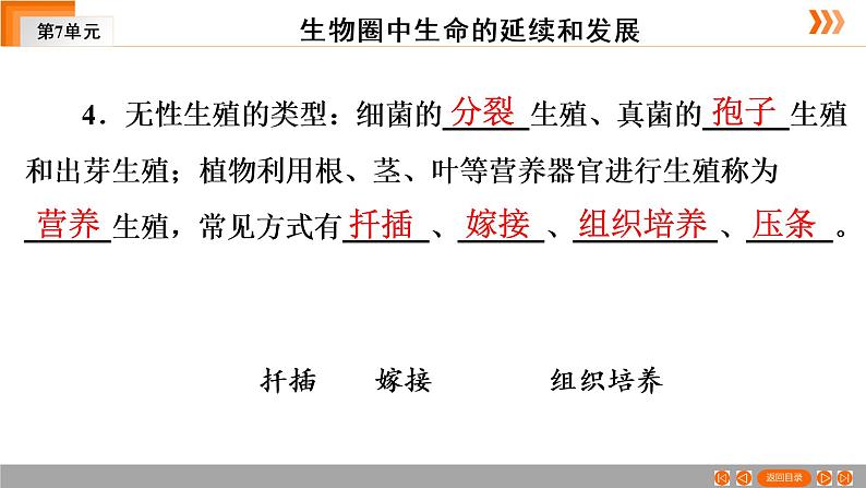 2021年中考广东专用生物一轮知识点复习第7单元 第22章 生物的生殖和发育 课件08