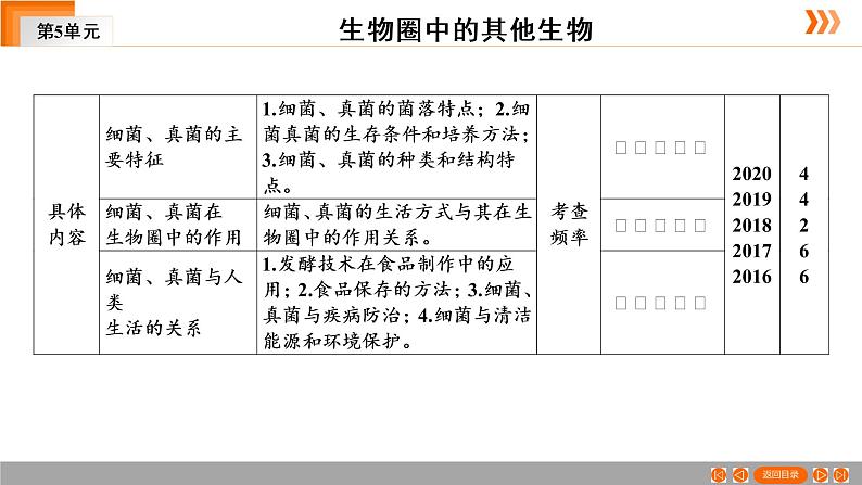 2021年中考广东专用生物一轮知识点复习第5单元 第19章 细菌和真菌 课件第4页