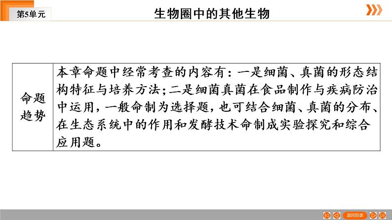 2021年中考广东专用生物一轮知识点复习第5单元 第19章 细菌和真菌 课件第5页