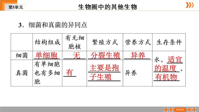 2021年中考广东专用生物一轮知识点复习第5单元 第19章 细菌和真菌 课件第7页
