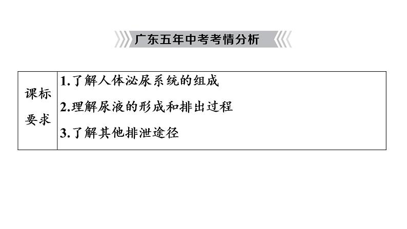 2021年中考广东专用生物知识点梳理复习第4单元 第11章 人体代谢废物的排出 课件第3页