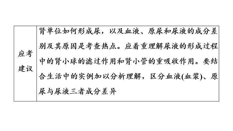 2021年中考广东专用生物知识点梳理复习第4单元 第11章 人体代谢废物的排出 课件第4页
