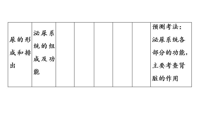 2021年中考广东专用生物知识点梳理复习第4单元 第11章 人体代谢废物的排出 课件第7页