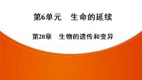 2021年中考广东专用生物知识点梳理复习第6单元 第20章　生物的遗传和变异  课件
