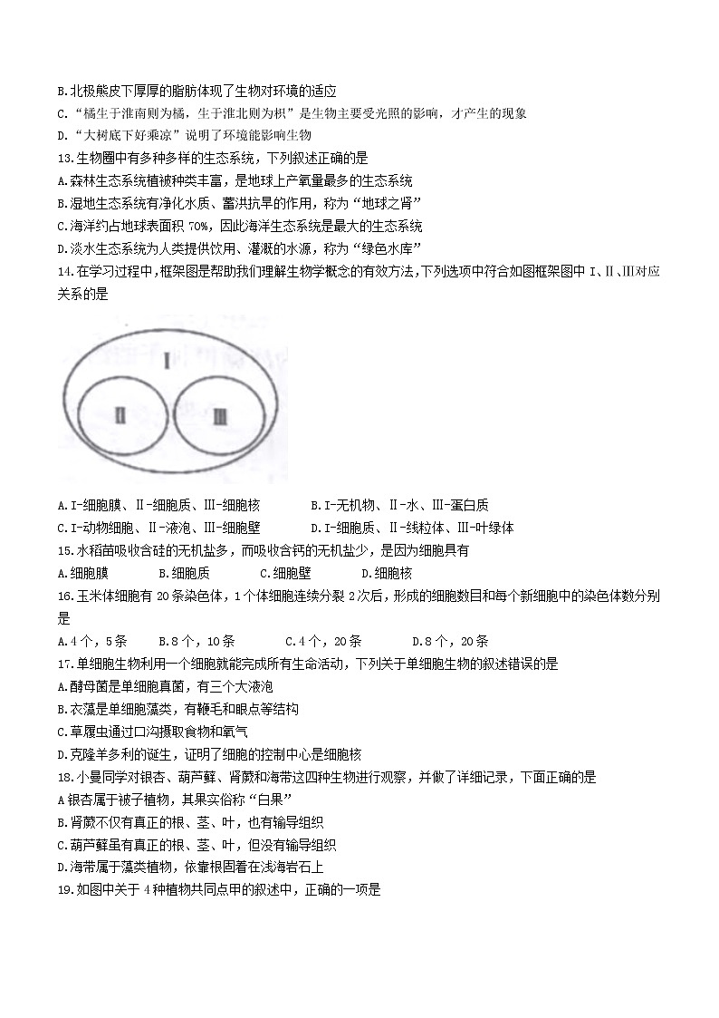 湖南省怀化市洪江市2021-2022学年七年级上学期期末生物试题(word版 含答案)03