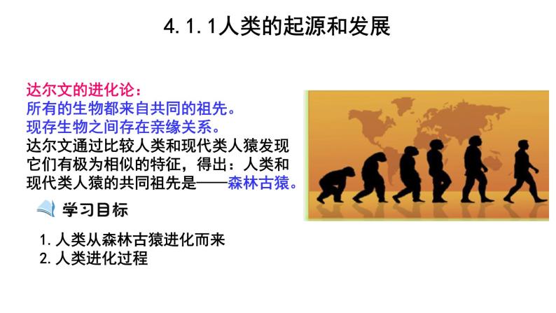 人教版七年级生物下册----4.1.1人类的起源和发展课件PPT01