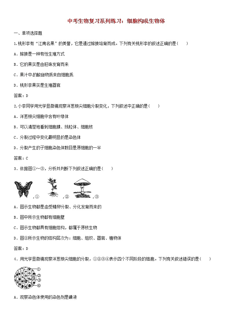 中考生物复习系列练习细胞构成生物体第1页