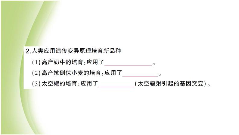 八年级生物下册第七单元生物圈中生命的延续和发展第二章生物的遗传和变异第五节生物的变异作业课件新人教版04