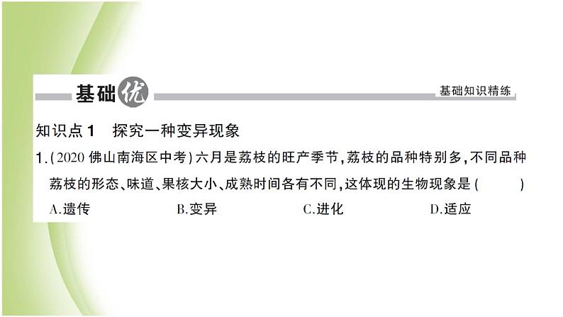 八年级生物下册第七单元生物圈中生命的延续和发展第二章生物的遗传和变异第五节生物的变异作业课件新人教版05