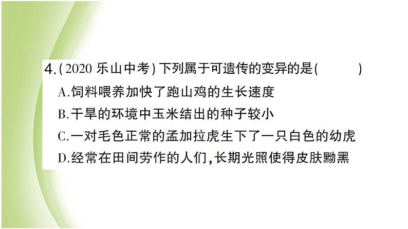 八年级生物下册第七单元生物圈中生命的延续和发展第二章生物的遗传和变异第五节生物的变异作业课件新人教版07