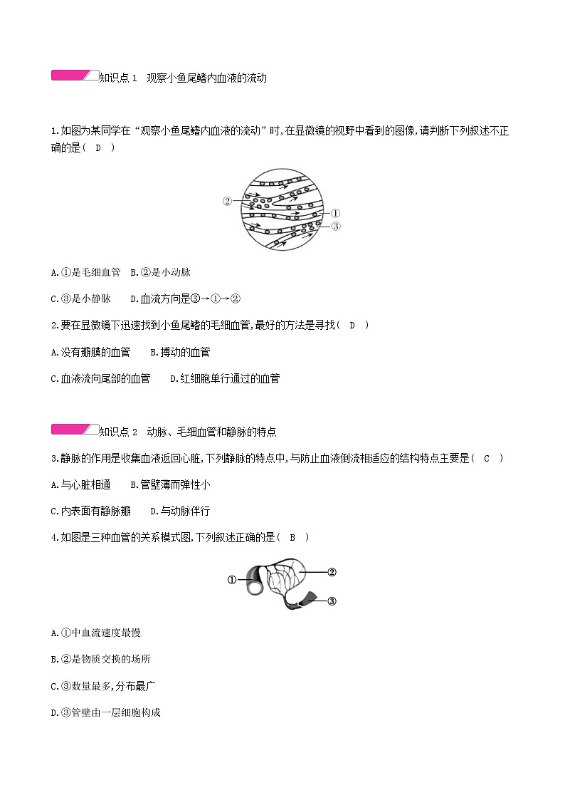 七年级生物下册4.4.2血流的管道__血管习题新人教版02