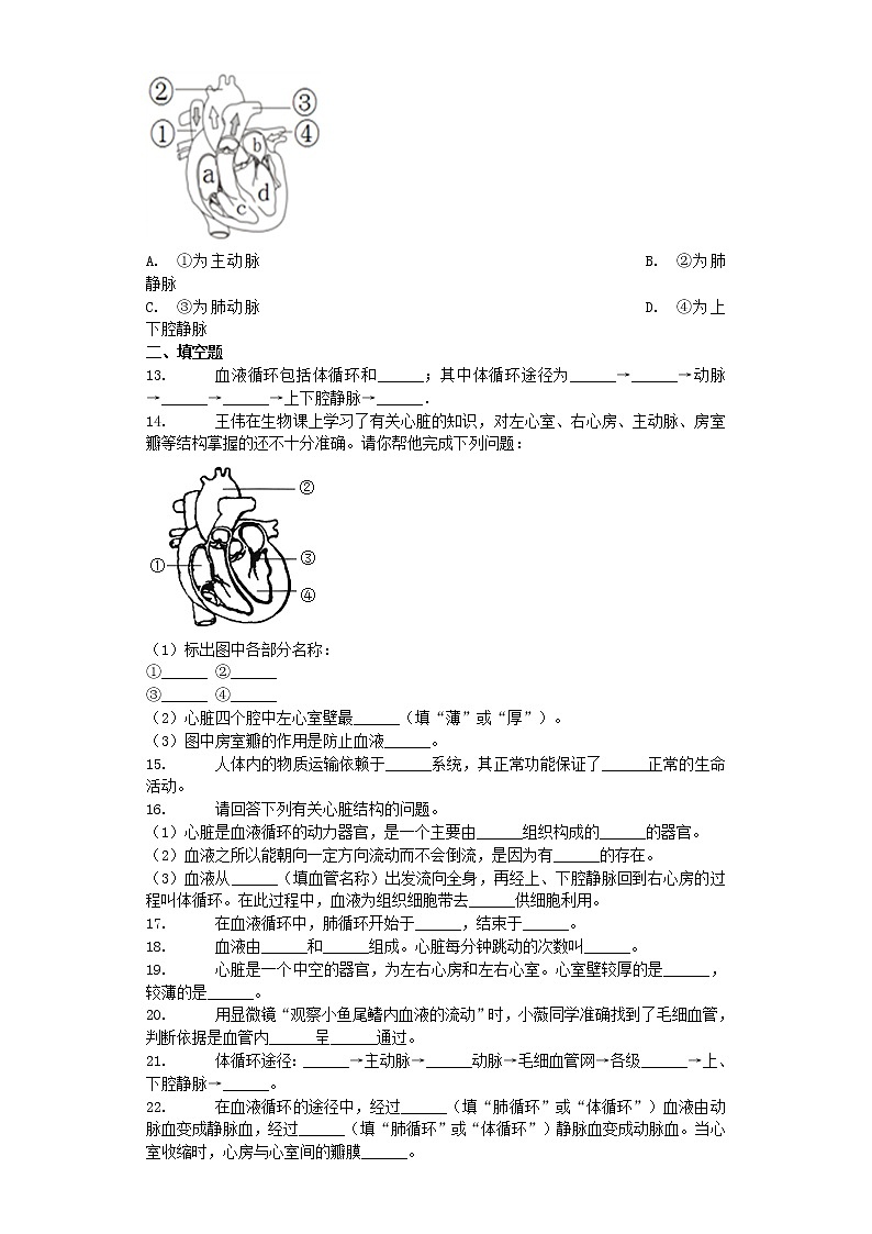 七年级生物下册4.4.3输送血液的泵习题新人教版03