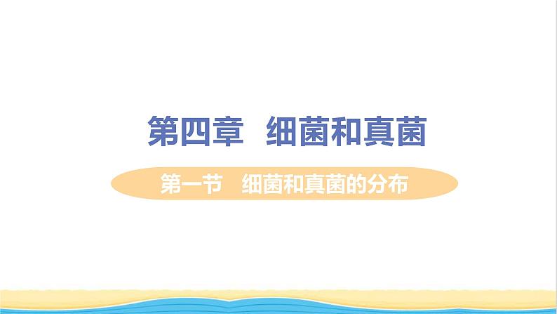 八年级生物上册第五单元生物圈中的其他生物第四章细菌和真菌第一节细菌和真菌的分布教学课件新人教版第1页