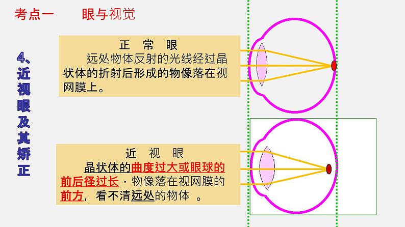 专题14 人体生命活动的调节(课件)-2022年中考生物一轮复习讲练测07