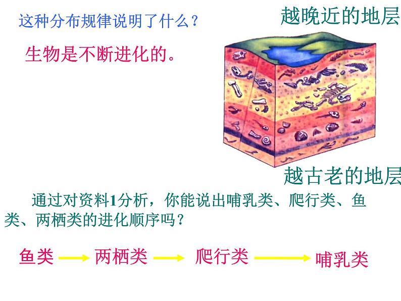 第二节 生物进化的历程课件PPT07