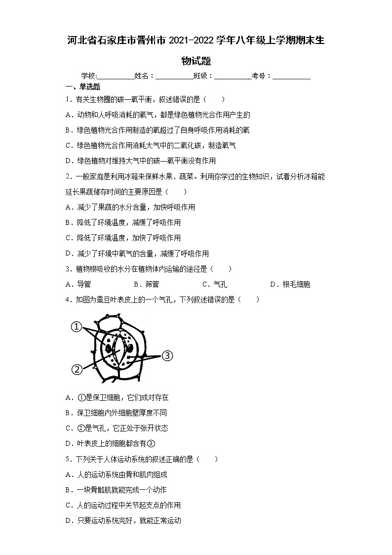 河北省石家庄市晋州市2021-2022学年八年级上学期期末生物试题(word版 含答案)第1页