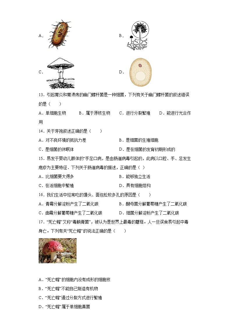 河北省石家庄市晋州市2021-2022学年八年级上学期期末生物试题(word版 含答案)第3页