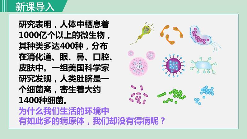 第1课时 人体的三道防线、免疫的功能第1页