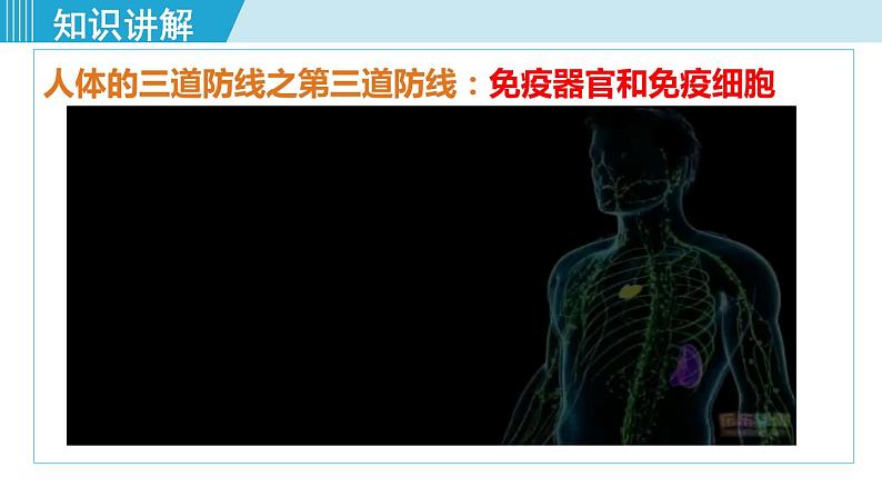 第1课时 人体的三道防线、免疫的功能第8页