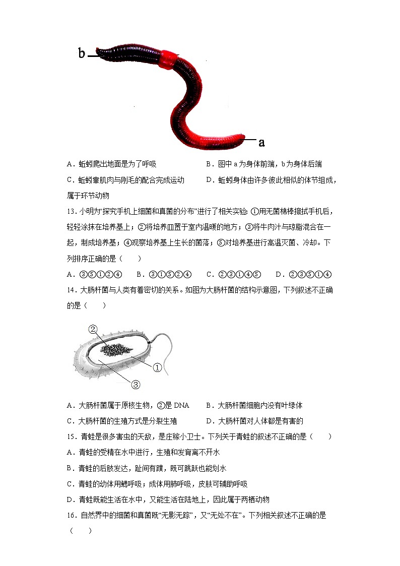 山西省晋中市2021-2022学年八年级上学期期末生物试题(word版 含答案)03