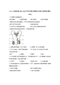 初中生物人教版 (新课标)七年级下册第二节 人的生殖同步练习题