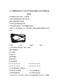 初中第七单元 生物圈中生命的延续和发展第一章  生物的生殖和发育第一节  植物的生殖精练