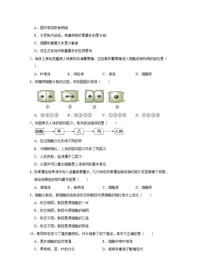 2021-2022学年山东省临沂市蒙阴县七年级（上）期末生物试卷   解析版02