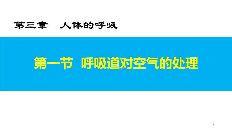 4.3.1 呼吸道对空气的处理第2页