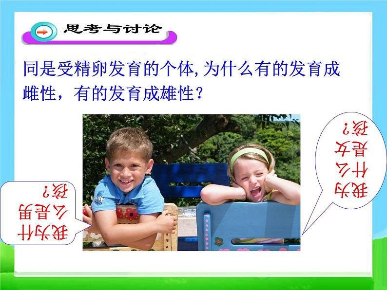 第四节 人的性别遗传 课件第5页