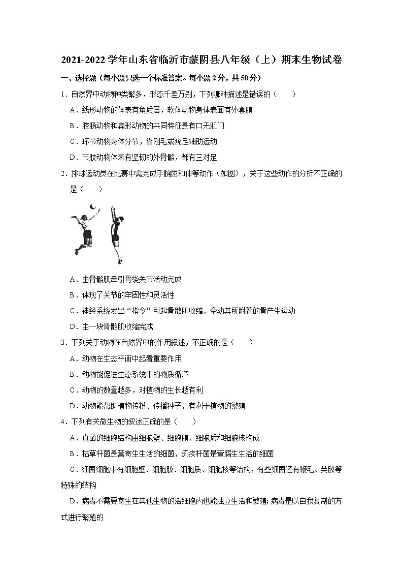 2021-2022学年山东省临沂市蒙阴县八年级(上)期末生物试卷 解析版01
