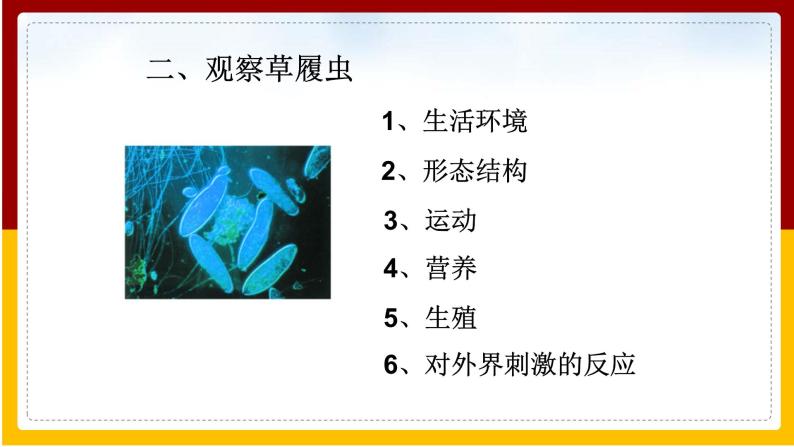 第4单元 环境中生物的统一性 第9章 生物体有相似的结构层次 第3节 单细胞的生物体课件PPT07
