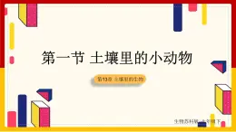 第5单元 环境中生物的多样性 第13章 土壤里的生物 第1节 土壤里的小动物课件PPT