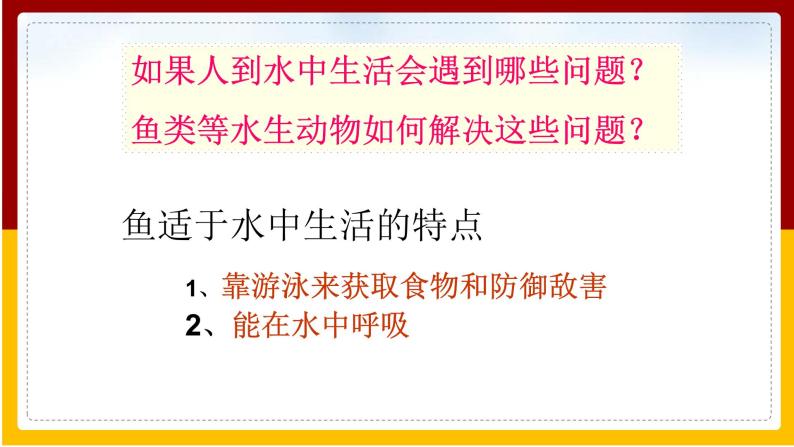 第5单元 环境中生物的多样性 第10章 水中的生物 第1节 水中的动物课件PPT05