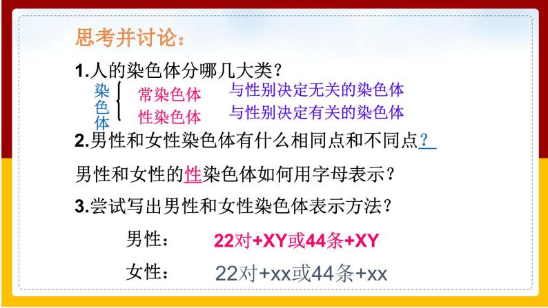 第8单元 生物的生殖、发育与遗传 第22章 生物的遗传和变异 第3节 人的性别决定课件PPT05