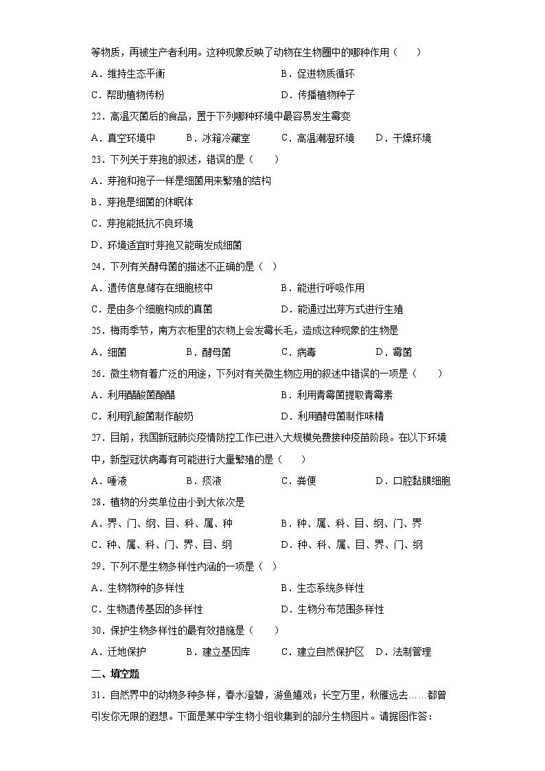 广东省汕尾市陆丰市2021-2022学年八年级上学期期末生物试题(word版 含答案)第3页