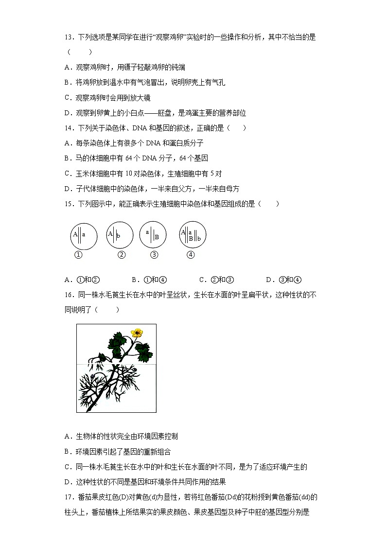 山东省东营市东营经济技术开发区2021-2022学年八年级上学期期末生物试题(word版 含答案)第3页