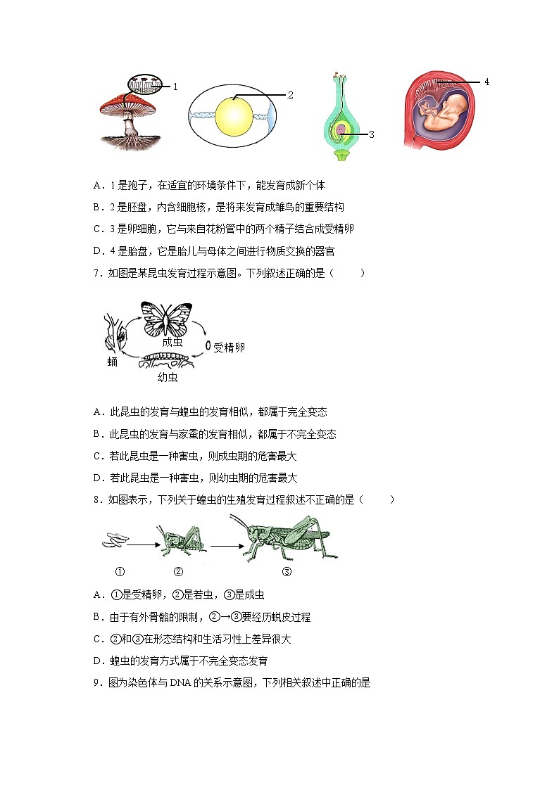 山东省淄博市高青县2021-2022学年八年级上学期期末生物试题(word版 含答案)02