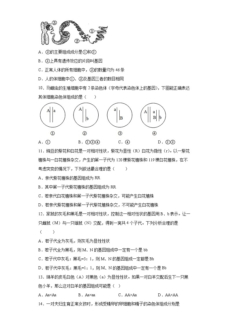 山东省淄博市高青县2021-2022学年八年级上学期期末生物试题(word版 含答案)03