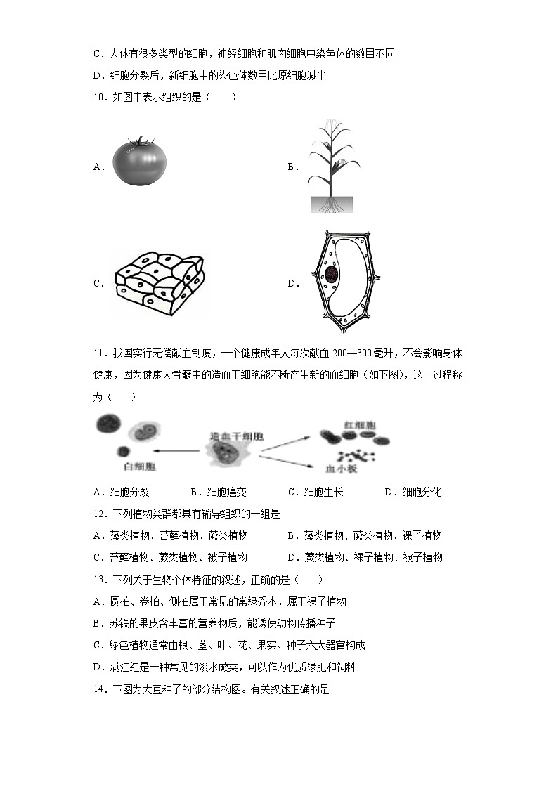 四川省德阳市旌阳区2021-2022学年七年级上学期期末生物试题(word版 含答案)第2页