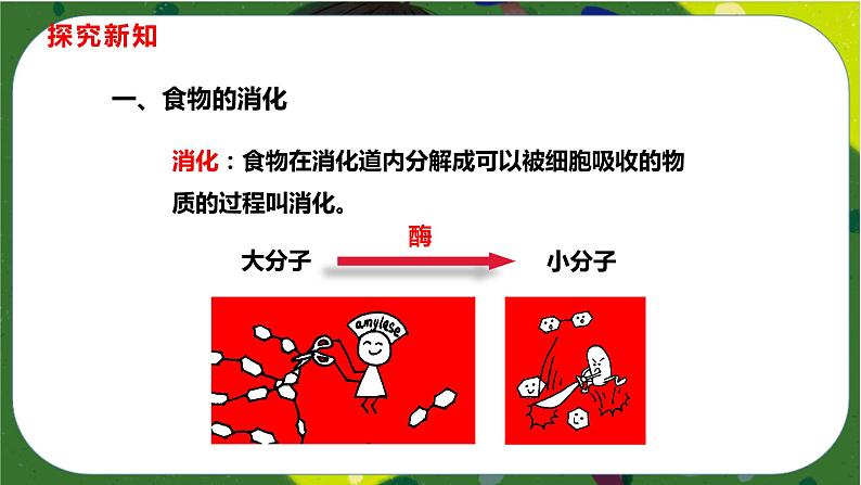 2.2 消化和吸收(课件PPT)-2021-2022学年七年级下册初一生物(人教版)04