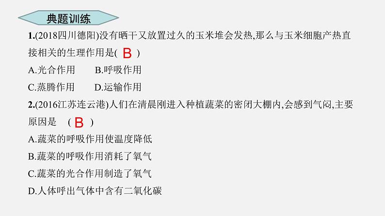 人教版初中生物复习 专题8 绿色植物的呼吸作用 课件第5页