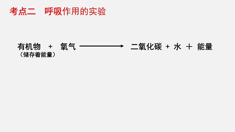 人教版初中生物复习 专题8 绿色植物的呼吸作用 课件第8页