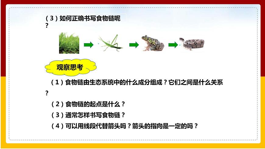 第6單元 生物與環(huán)境 第2章 生態(tài)系統(tǒng) 第2節(jié) 食物鏈和食物網(wǎng)課件PPT第4頁(yè)