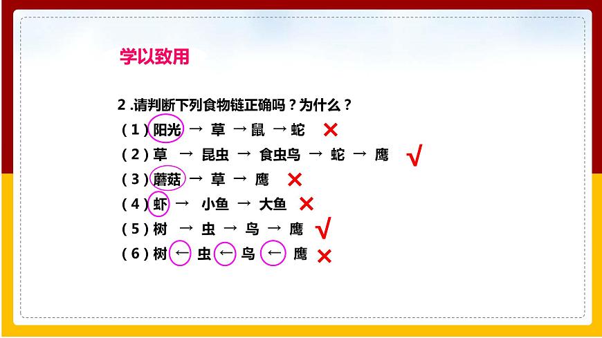 第6單元 生物與環(huán)境 第2章 生態(tài)系統(tǒng) 第2節(jié) 食物鏈和食物網(wǎng)課件PPT第7頁(yè)