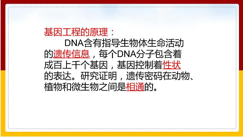 第7单元 生物技术 第2章 现代生物技术 第1节 基因工程课件PPT第3页
